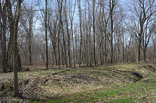 Property photo 113 - REAL ESTATE & PERSONAL PROPERTY AUCTION, 140 Acres offered in 8 Tracts or Combinations in Steuben County